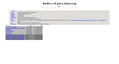 Desktop Screenshot of pics.tnir.org